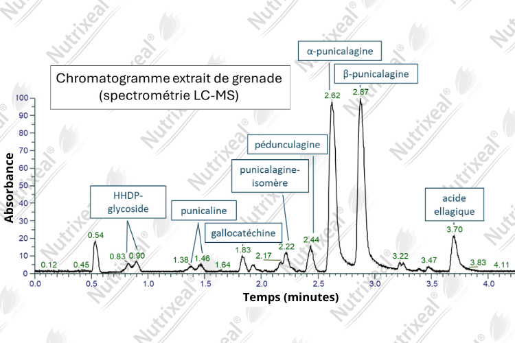 Grenade Bio Ellagitannins Punicalagine Analyse Chromatogramme